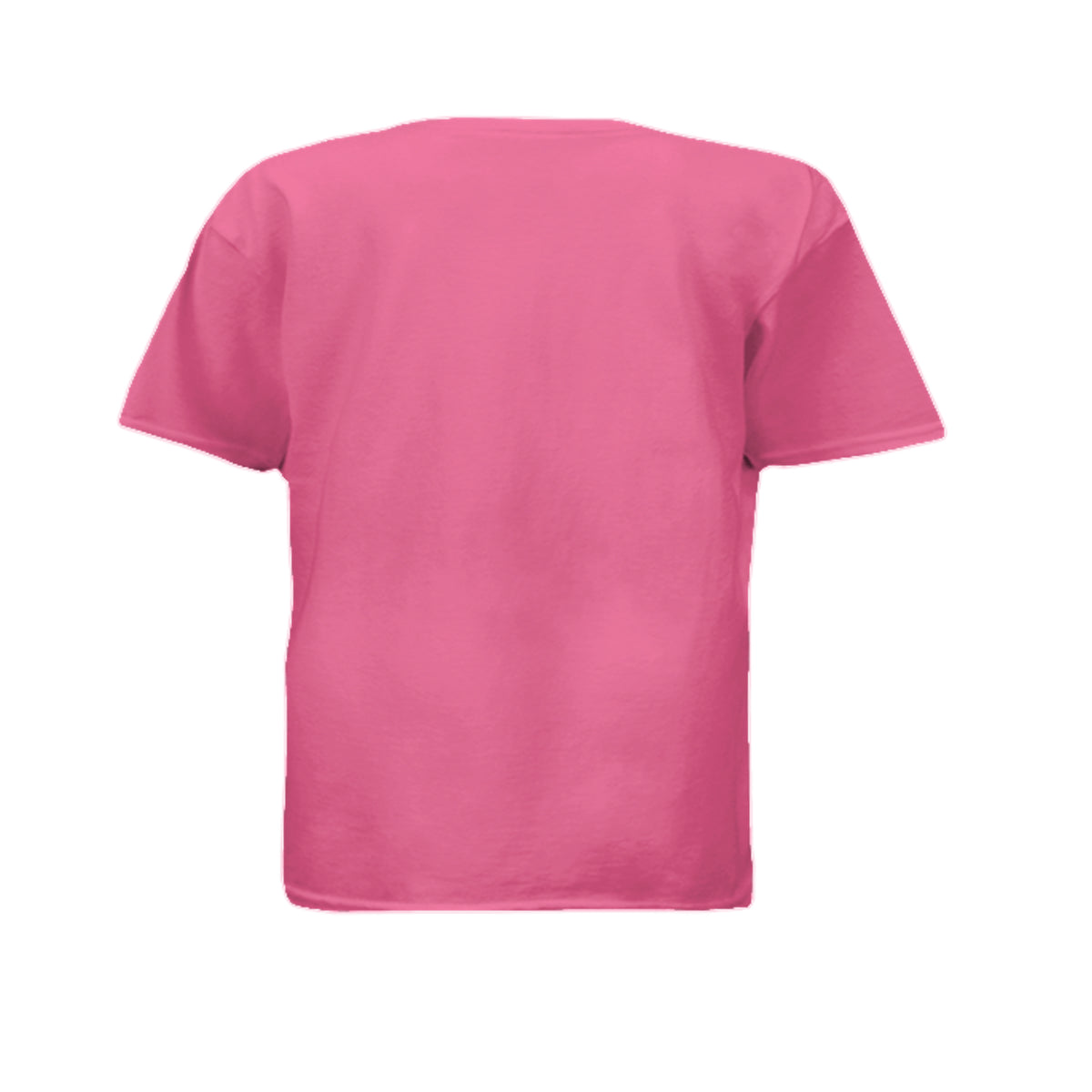 SAFETY PINK - G500B - BACK